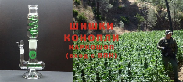 хмурый Вяземский