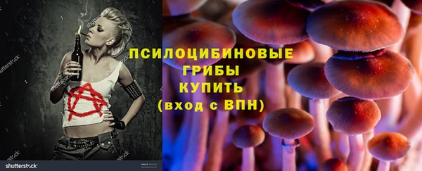 стафф Горняк