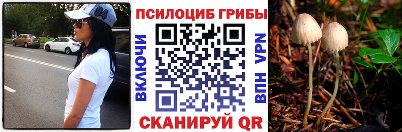 хочу   Дивногорск  Псилоцибиновые грибы прущие грибы 