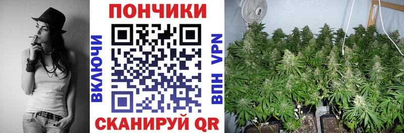 Бошки Шишки OG Kush  Дивногорск 